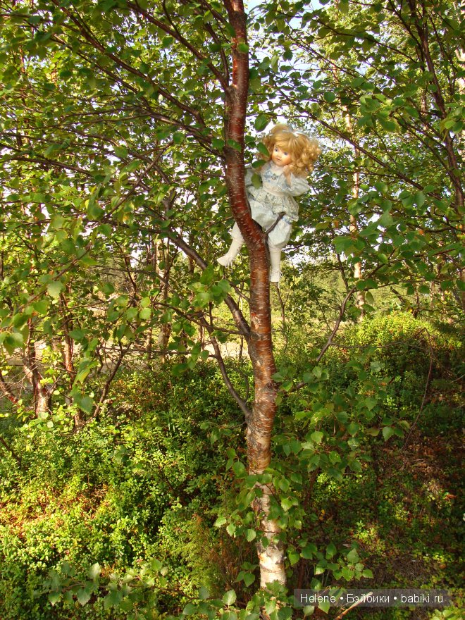 Страна Полуночного Солнца или Большое путешествие Рейчел - I (фото 7)