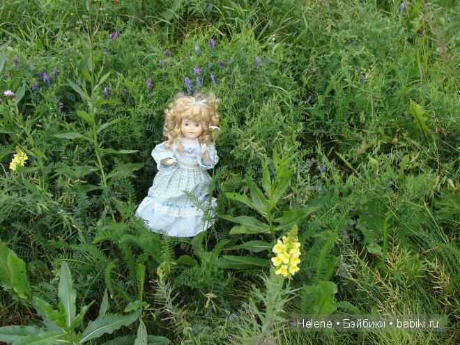 Страна Полуночного Солнца или Большое путешествие Рейчел - II