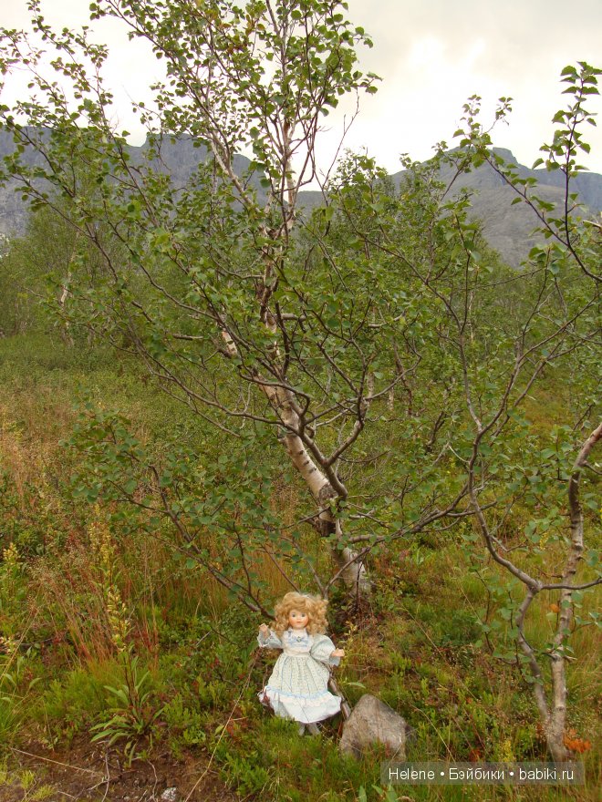 Страна Полуночного Солнца или Большое путешествие Рейчел - II (фото 6)