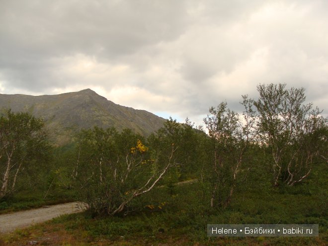 Страна Полуночного Солнца или Большое путешествие Рейчел - II
