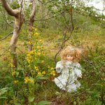 Страна Полуночного Солнца или Большое путешествие Рейчел - II