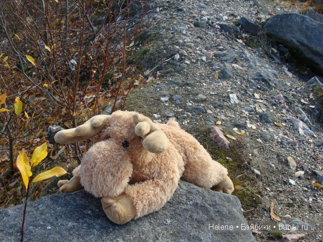 Солнечный лучик - Сонечка. Sophie от Susan Lippl