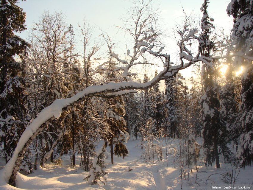 Зима уходит — Куклы Звезды подиума (Angel Collection): шарнирные