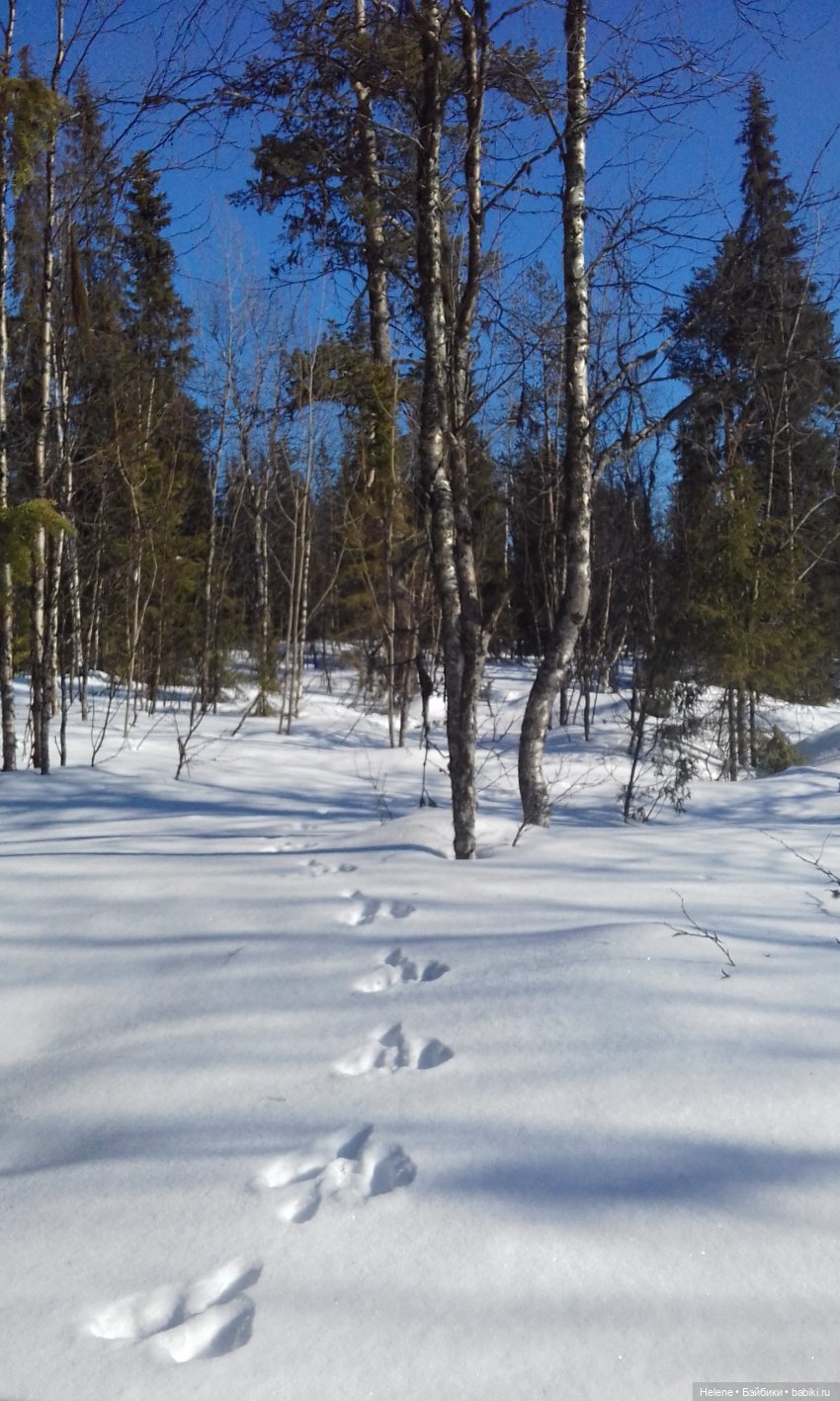 Зима уходит — Куклы Звезды подиума (Angel Collection): шарнирные (фото 10)