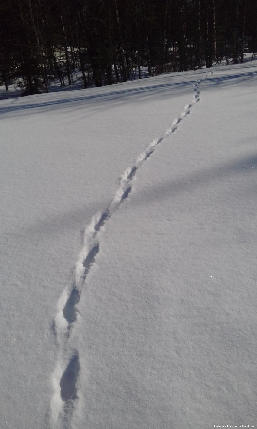 Зима уходит — Куклы Звезды подиума (Angel Collection): шарнирные