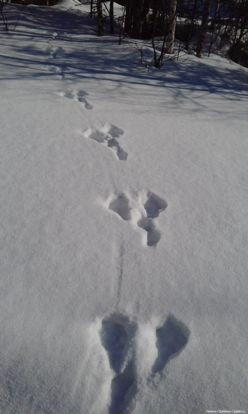 Зима уходит — Куклы Звезды подиума (Angel Collection): шарнирные