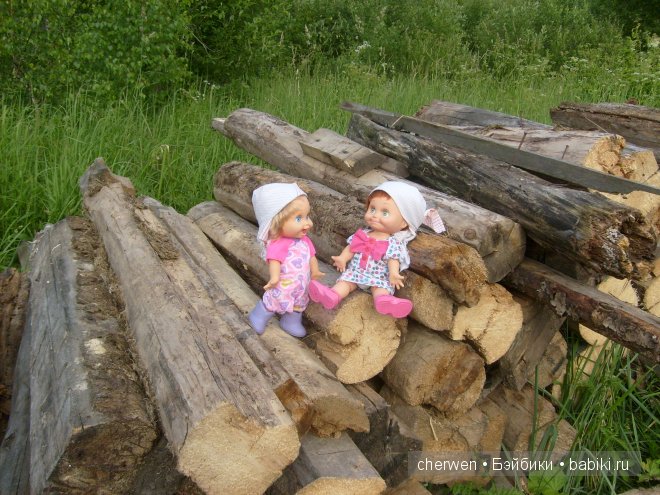 Как Шурочка и Зиночка работали в деревне (фото 10)