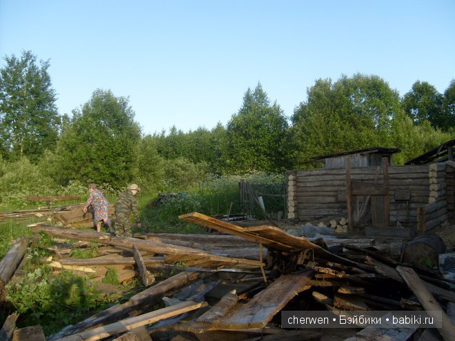 Как Шурочка и Зиночка работали в деревне (фото 3)