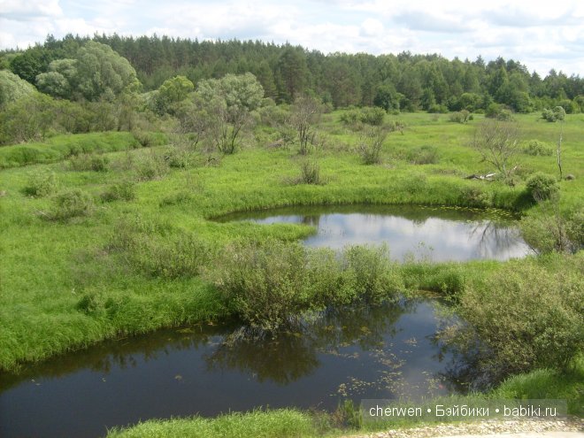 Как Шурочка и Зиночка (Baby Face) отдыхали в деревне (фото 2)
