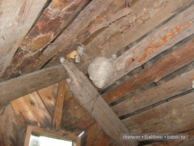 Чердачная находка кукол Baby Face. Медвежонок, который замер в моем детстве (фото 3)