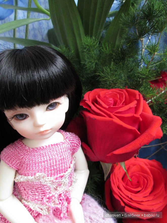 Цветочные феи DollZone Ани и Ами