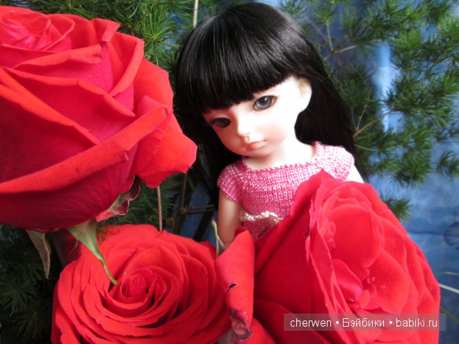 Цветочные феи DollZone Ани и Ами