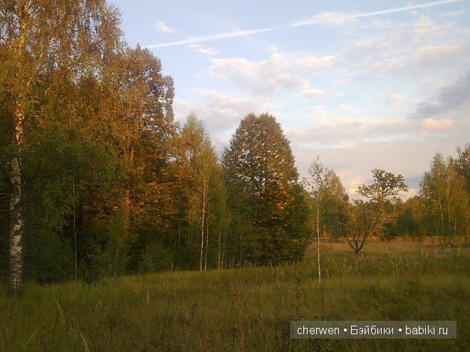 Подружка для Софи. Куколки Kathe Kruse