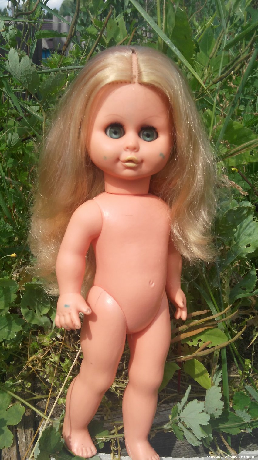 Находка с гудронового озёра