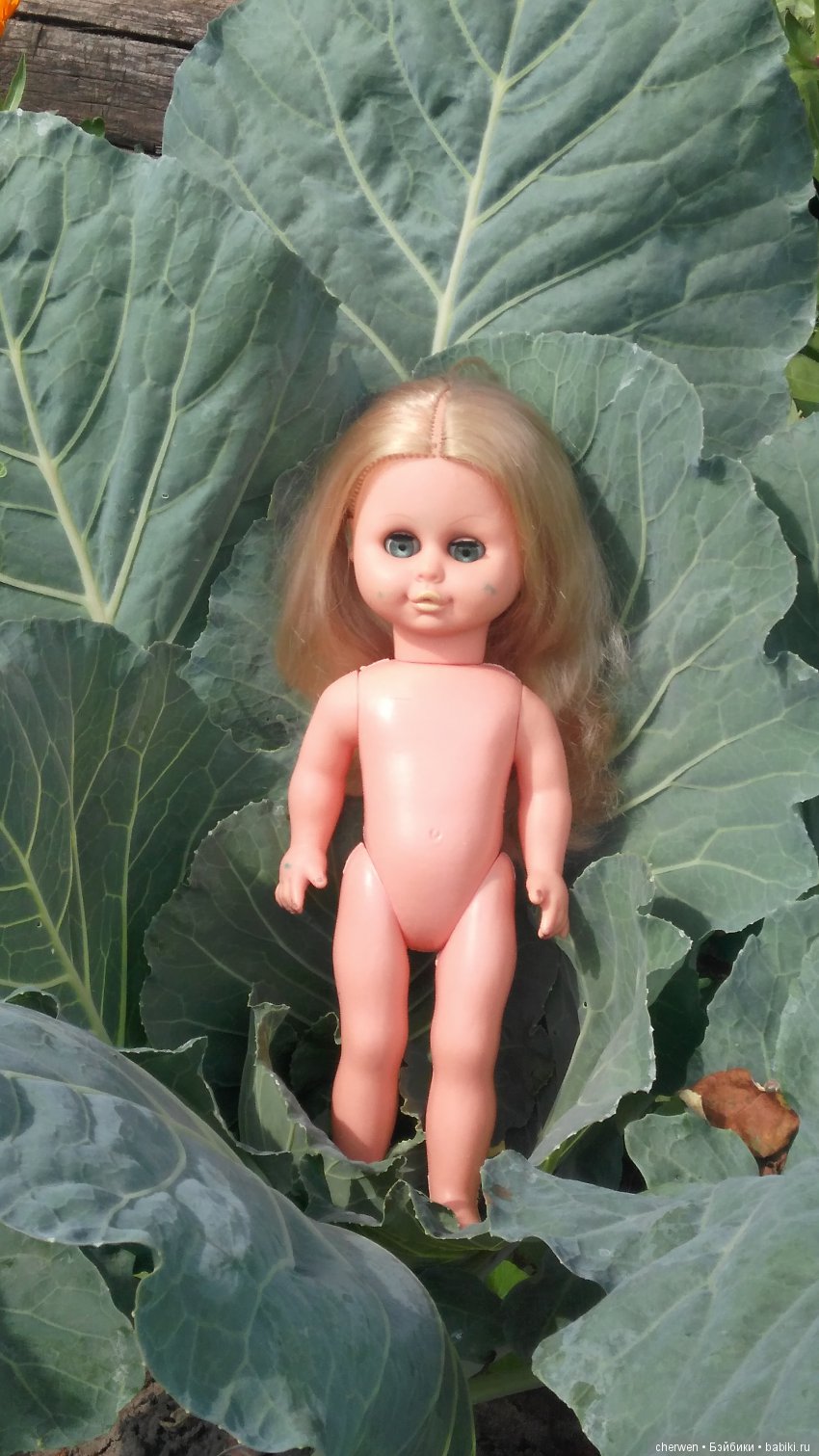 Находка с гудронового озёра (фото 5)