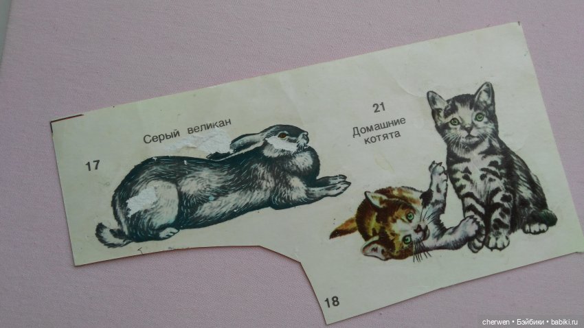 Блошка в Салтыковке — Интересное обо всем: поздравления