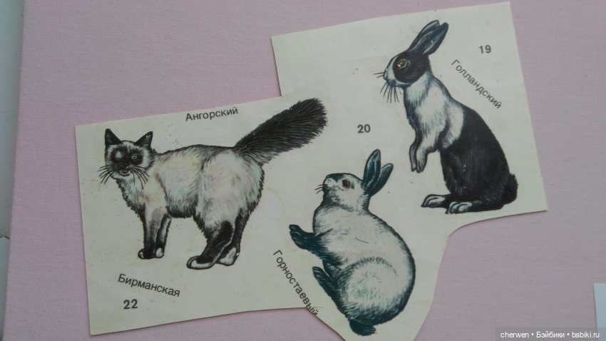 Блошка в Салтыковке — Интересное обо всем: поздравления