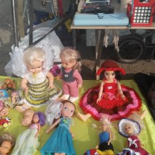 Блошка в Салтыковке