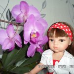 Моя первая красавица от Paola Reina - Керол