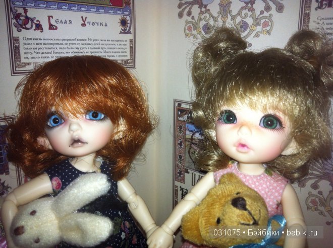 Первое знакомство. Пукифи Пио ( Мия ) и Анте ( Полли ) (фото 2)