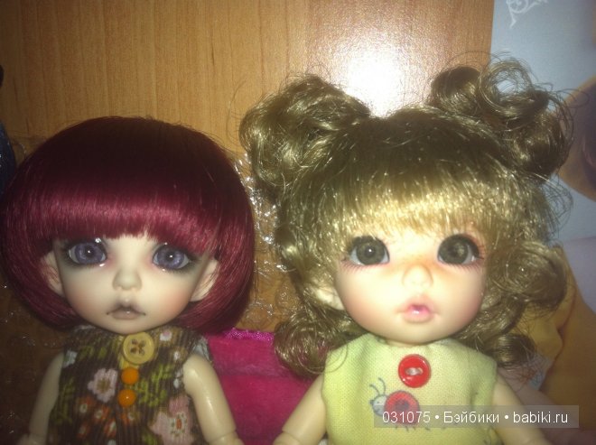 Первое знакомство. Пукифи Пио ( Мия ) и Анте ( Полли ) (фото 4)