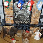 Камин в женском исполнении или как сбываются мечты