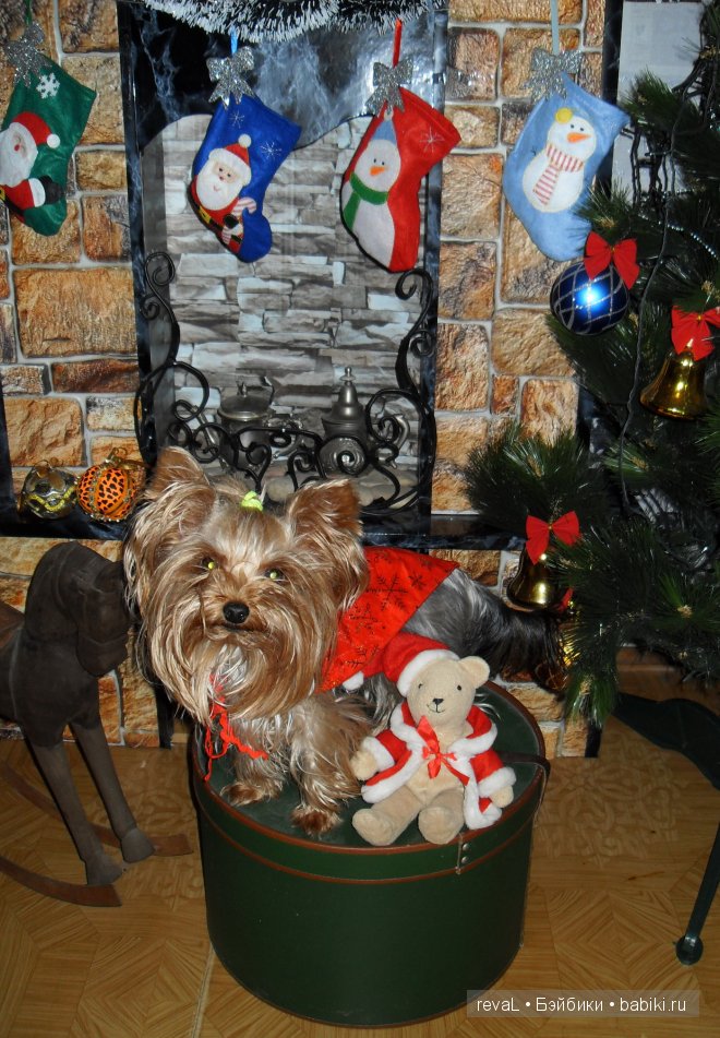 Реборны,Моника Левенинг,Я-Любаша Рева, куклы