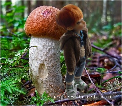 Людвиг Четырнадцатый Наполеон (фото 3)