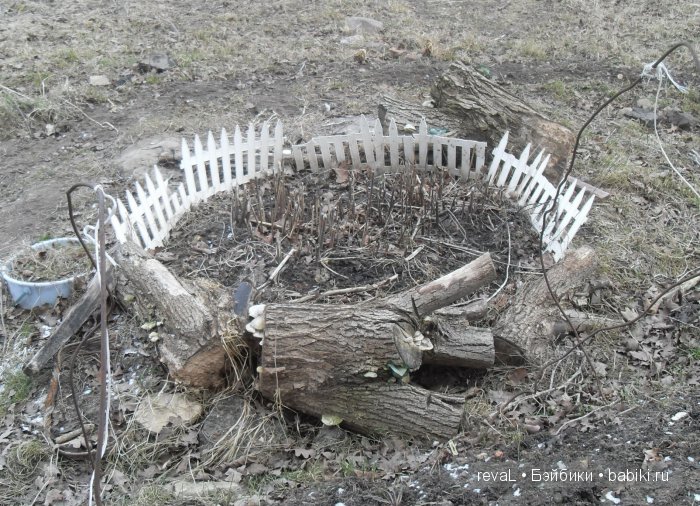 болталка, Я-Любаша Рева