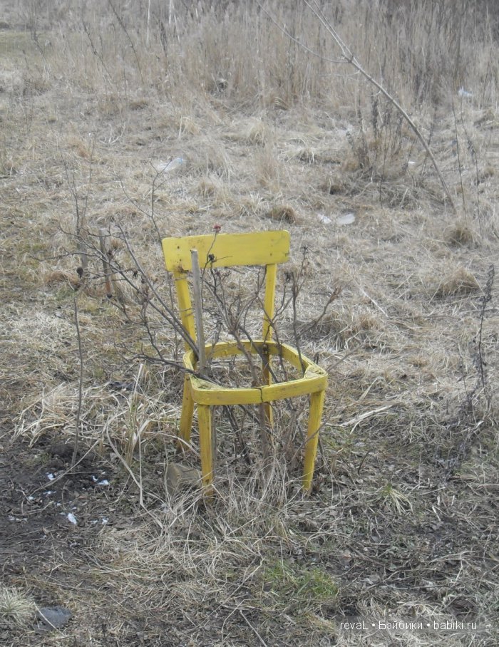 болталка, Я-Любаша Рева