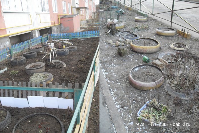 болталка, Я-Любаша Рева