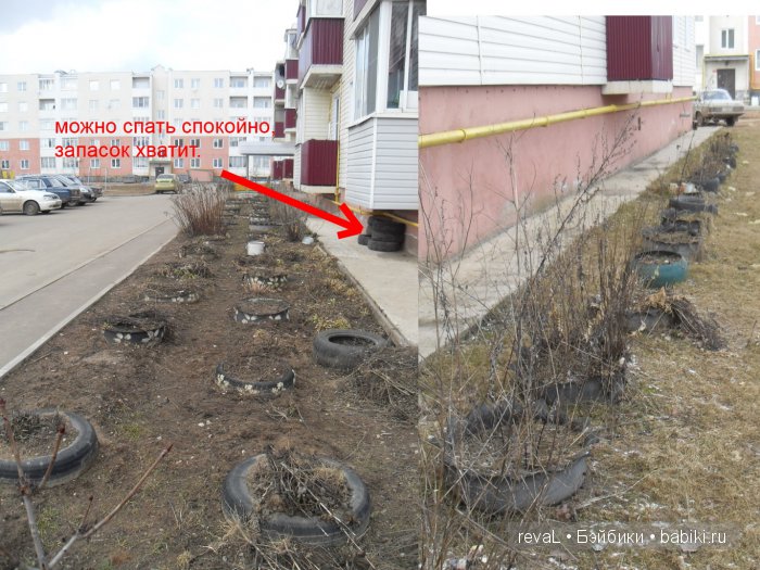 болталка, Я-Любаша Рева