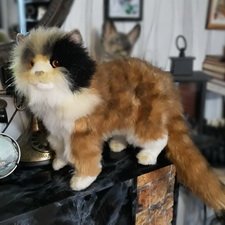 Усы, лапы, хвост. Скидка Усы, лапы, хвост. Скидка