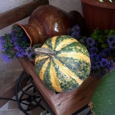 Прикладная магия или как для кареты сделать тыкву