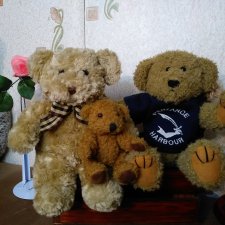 Три медведя Тедди одним лотом:)