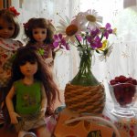 Подарок для Оли. Iplehouse, BJD