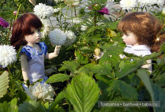 Дачное лето — Куклы Iplehouse (Иплхаус): BJD (БЖД)