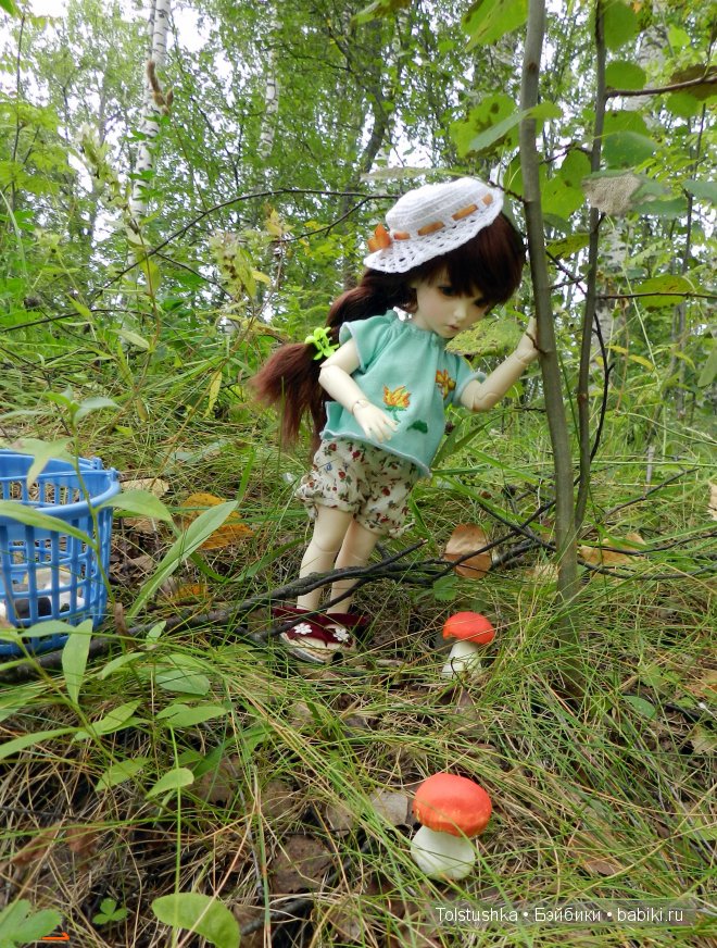 Дачное лето — Куклы Iplehouse (Иплхаус): BJD (БЖД)