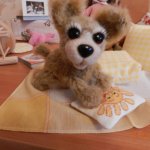 Как много брошенных собак.