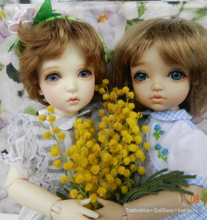 С 8 марта — Куклы Iplehouse (Иплхаус): BJD (БЖД)