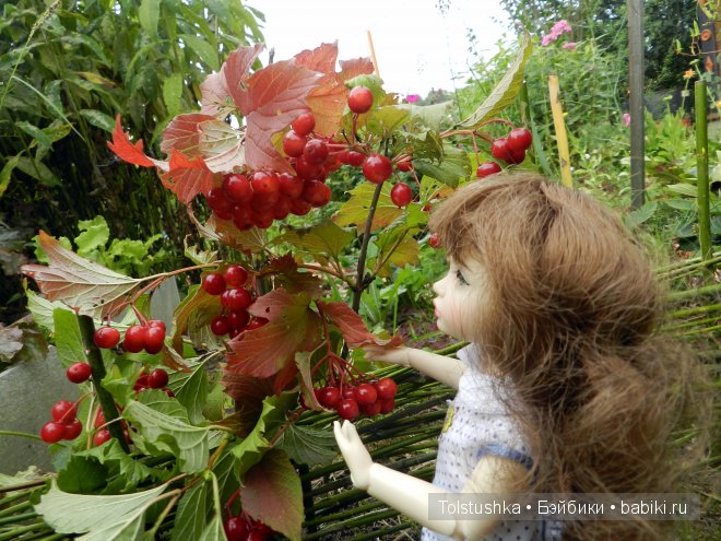 Лето в деревне — Куклы Iplehouse (Иплхаус): BJD (БЖД)