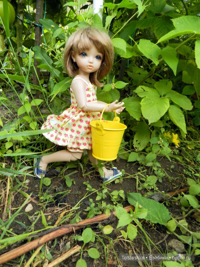 Лето в деревне — Куклы Iplehouse (Иплхаус): BJD (БЖД)