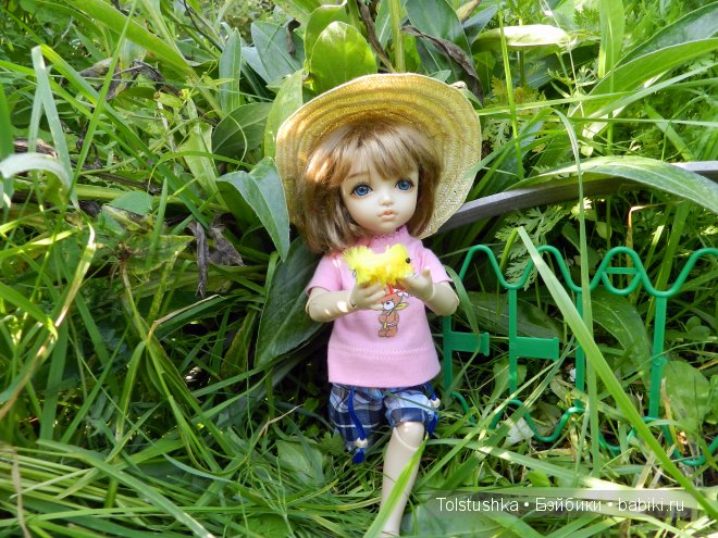 Лето в деревне — Куклы Iplehouse (Иплхаус): BJD (БЖД)