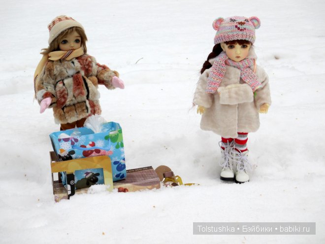 Новогоднее путешествие — Куклы Iplehouse (Иплхаус): BJD (БЖД)