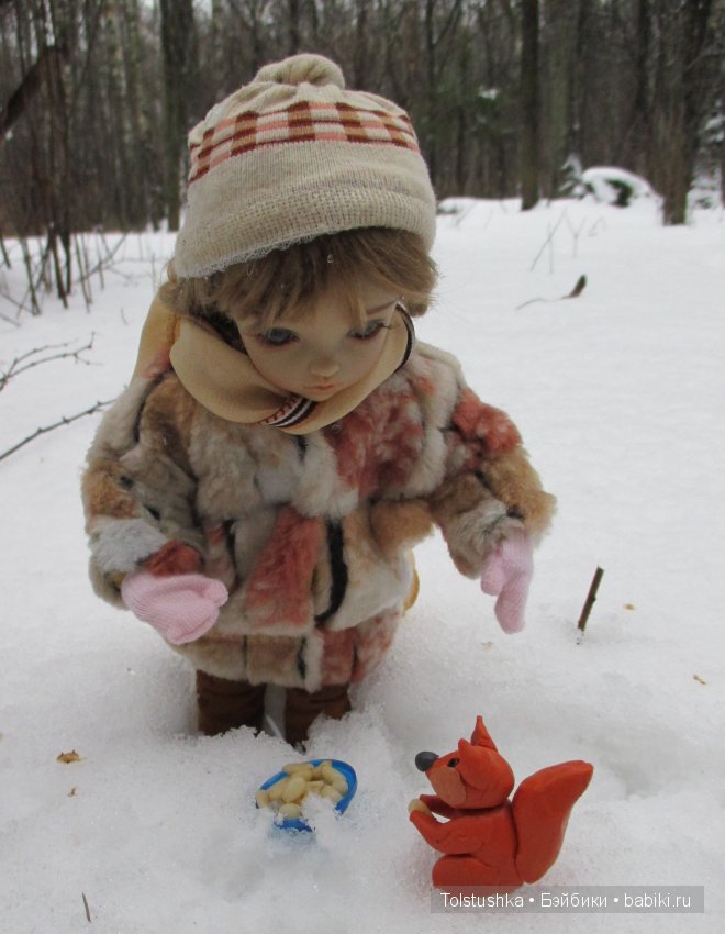 Новогоднее путешествие — Куклы Iplehouse (Иплхаус): BJD (БЖД)