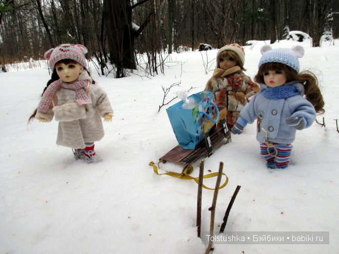 Новогоднее путешествие — Куклы Iplehouse (Иплхаус): BJD (БЖД)