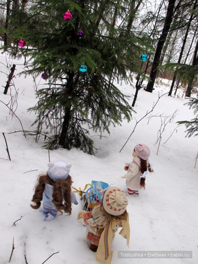 Новогоднее путешествие — Куклы Iplehouse (Иплхаус): BJD (БЖД)