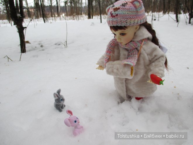 Новогоднее путешествие — Куклы Iplehouse (Иплхаус): BJD (БЖД)