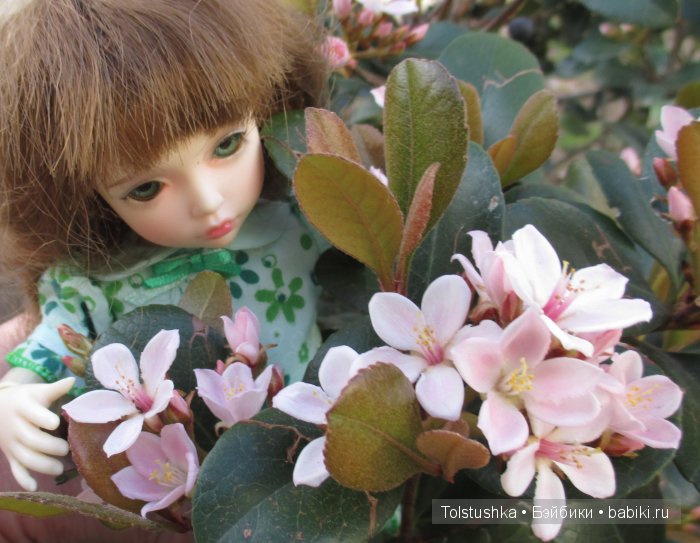 Иришка уехала в лето | Бэйбики Иришка уехала в лето — Куклы Iplehouse (Иплхаус): BJD (БЖД)