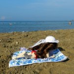 Чемоданный заяц